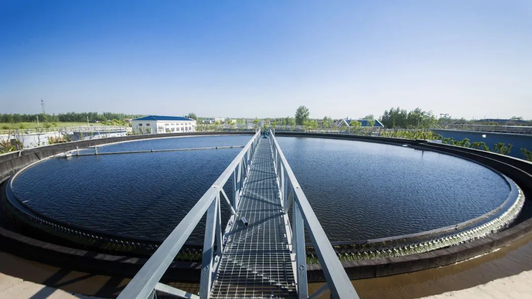 db真人旗舰旗下中电加美入选 2022年第四季度专精特新中小企业名单